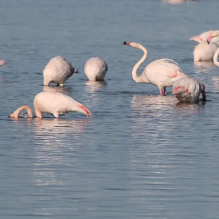 M H 3 キャンプ場 カネ